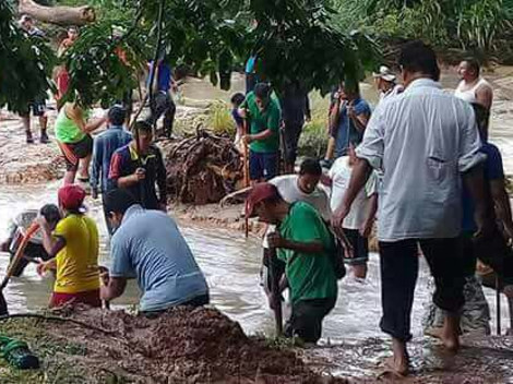 Pobladores de la comunidad Chol de Agua Azul, realizaron el desazolve de árboles y ramas que consideran están siendo un factor de que las aguas estén 