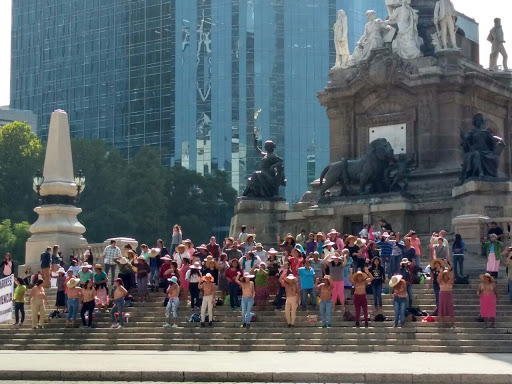 Se prevé que los manifestantes entreguen un documento con sus peticiones al Senado.