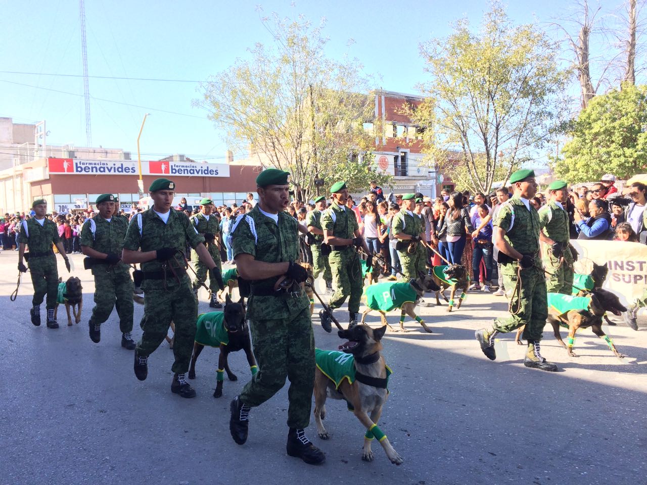 Escuadrón Canino de la Policía Militar lo que más cautiva Desfile en San Pedro.