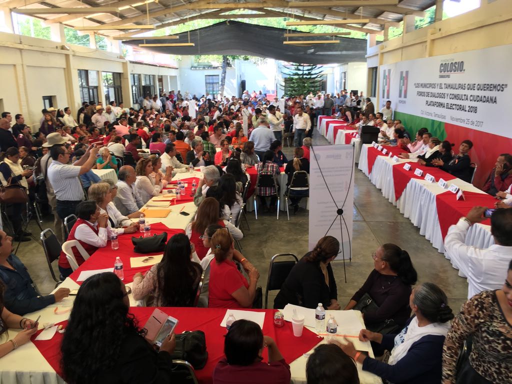 Foros de Diálogo y Consulta Ciudadana, Plataforma Electoral 2018.