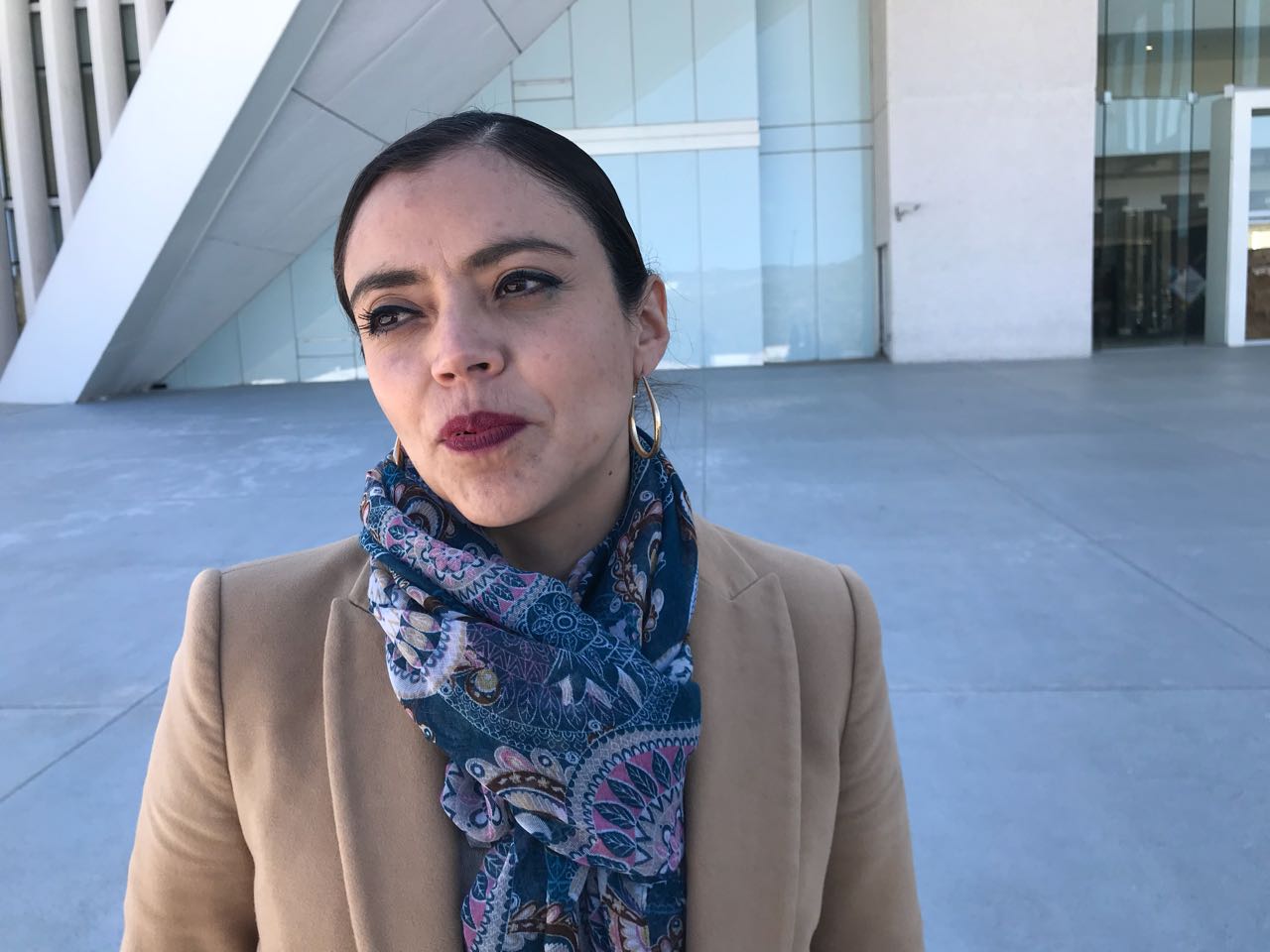 Arcelia González González, presidenta de la Comisión de Justicia. 