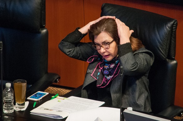 La presidenta de la Comisión de Derechos Humanos acusó al PRI de imponer esta ley.
