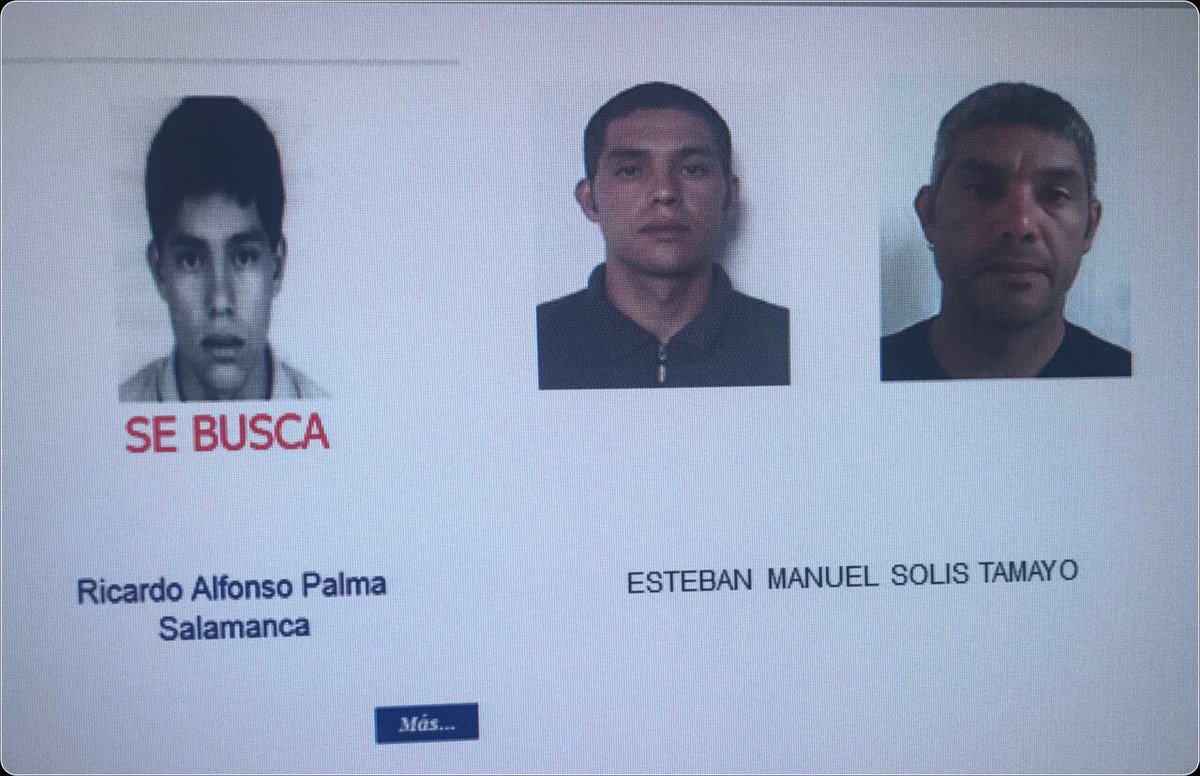 Ricardo Alfonso Palma, fue detenido en Francia. 