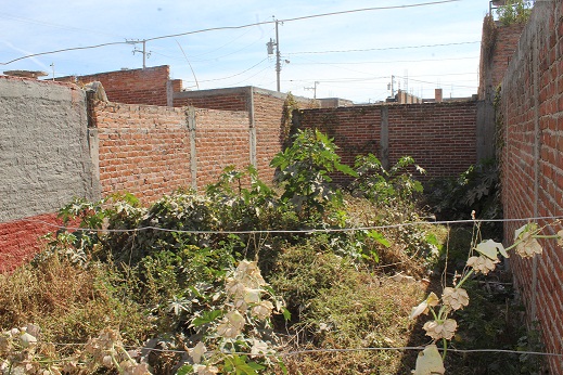 Los lostes baldíos son foco de infección por la basura y escombro. 
