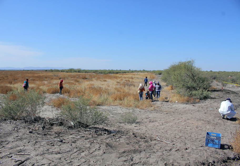Integrantes del Grupo Vida localizan en Matamoros, Coahuila 3 mil restos óseos.