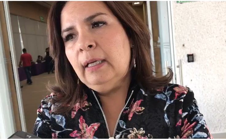 Beatriz Manrique Guevara, coordinadora del Partido Verde Ecologista de México. 