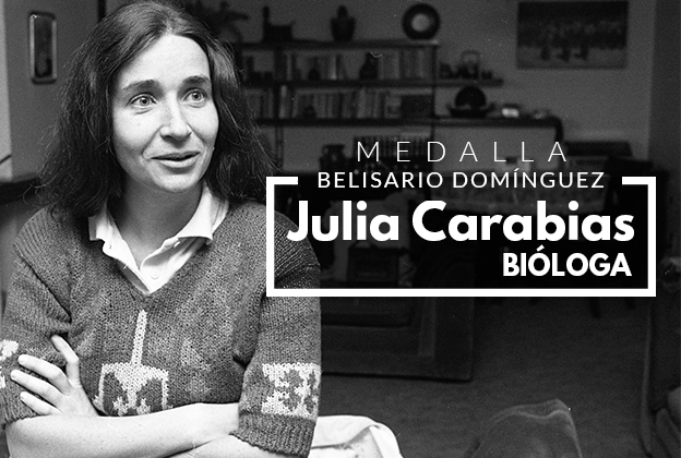 Julia Carabias recibe la Medalla Belisario Domínguez.