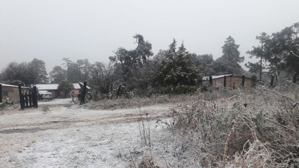 Tres municipios amanecieron nevados este viernes en Durango. 