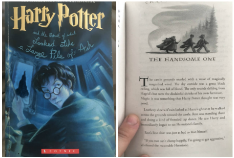Utilizando texto predictivo, un programa de computadora escribió un nuevo capítulo de Harry Potter. 
