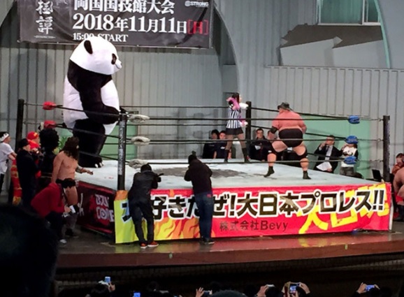 Andre the Giant Panda en acción 