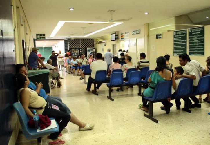 Drechohabientes en Tamaulipas.