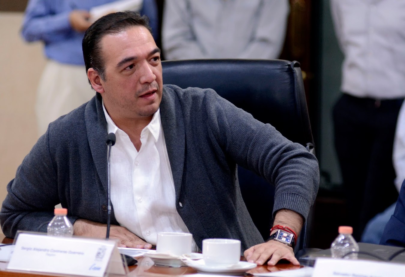 Sergio Contreras, líder del Verde, dijo que en Guanajuato van sin coalición. 