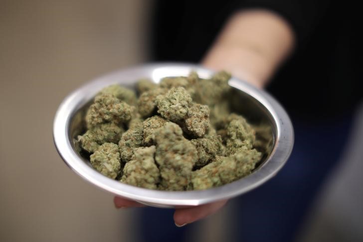 Un total de 29 estados han aprobado leyes que posibilitan el uso de esta droga con fines médicos, mientras que siete lo han hecho también para fines r