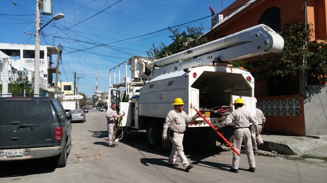 Pelícano deja sin luz a Centro de Tampico. 