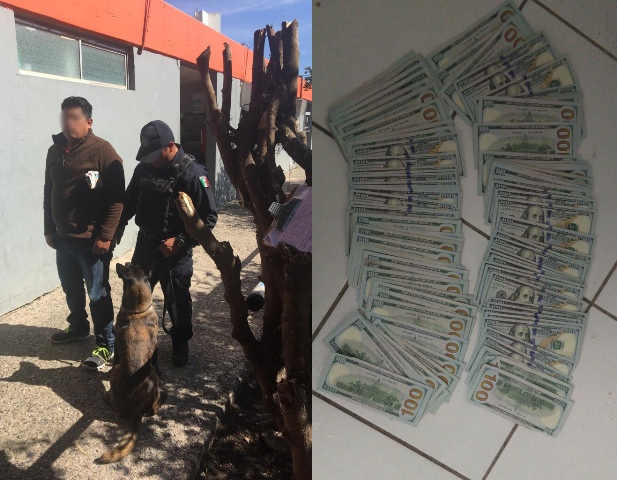 Detienen a hombre con 10 mil dólares, en Central de Autobuses de Ciudad Victoria. 