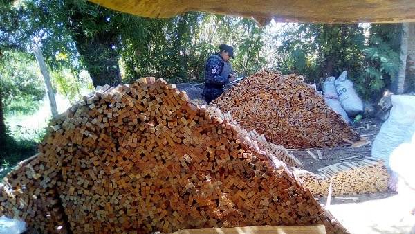 La Profepa aseguró que aserradero del municipio de Michoacán ya había sido sancionado con la clausura temporal.