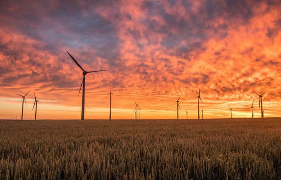 Tamaulipas ha sabido aprovechar oportunidades de inversión en energías limpias, como la eólica.