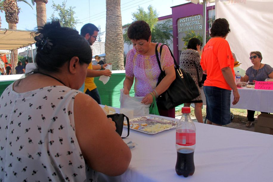 El Instituto de la Mujer estará recibiendo las propuestas hasta el 17 de enero.