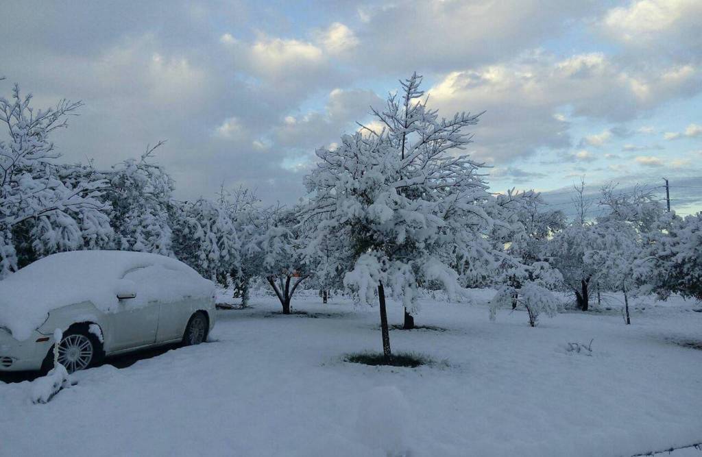 La temperatura bajara en Tamaulipas.