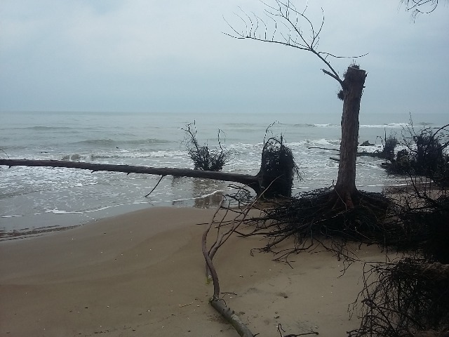 Playa de Pueblo Viejo, Veracruz.