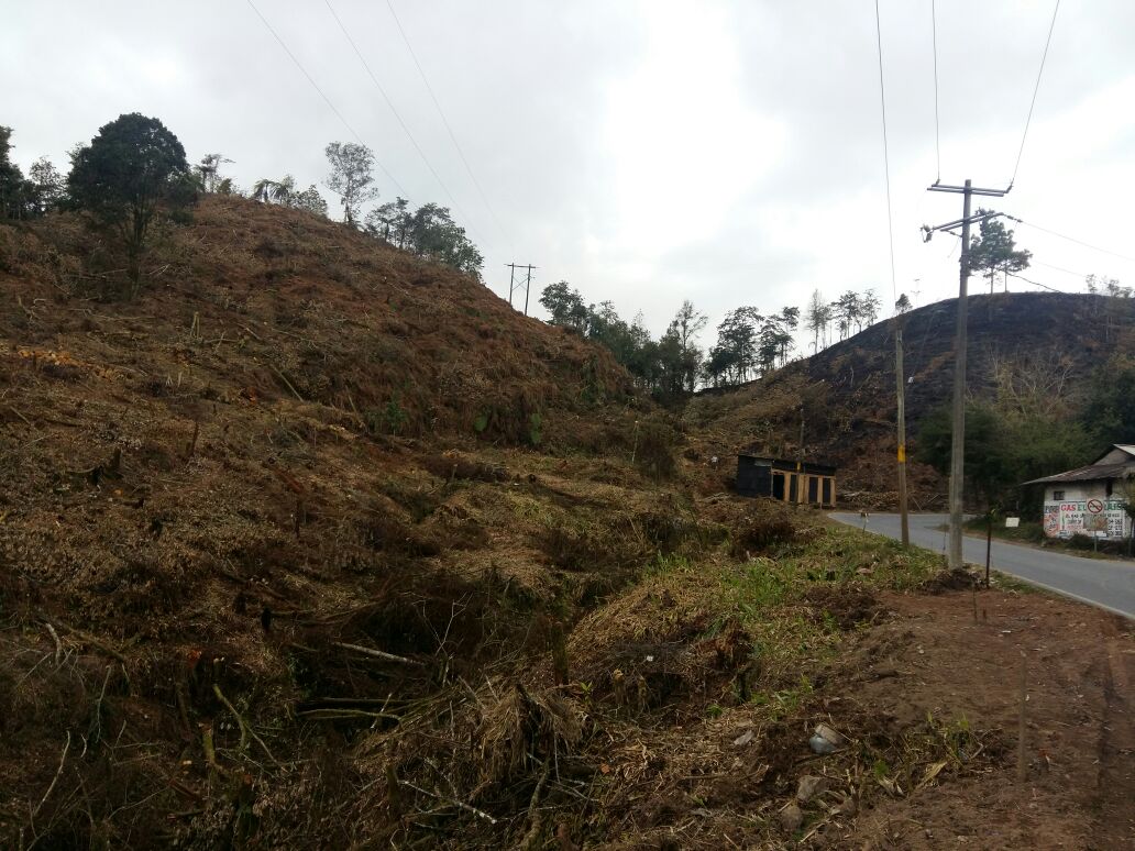 La devastación es notoria en el trayecto de la carretera federal Puebla-Cuetzalan, justo antes de llegar al Pueblo Mágico de Cuetzalan.