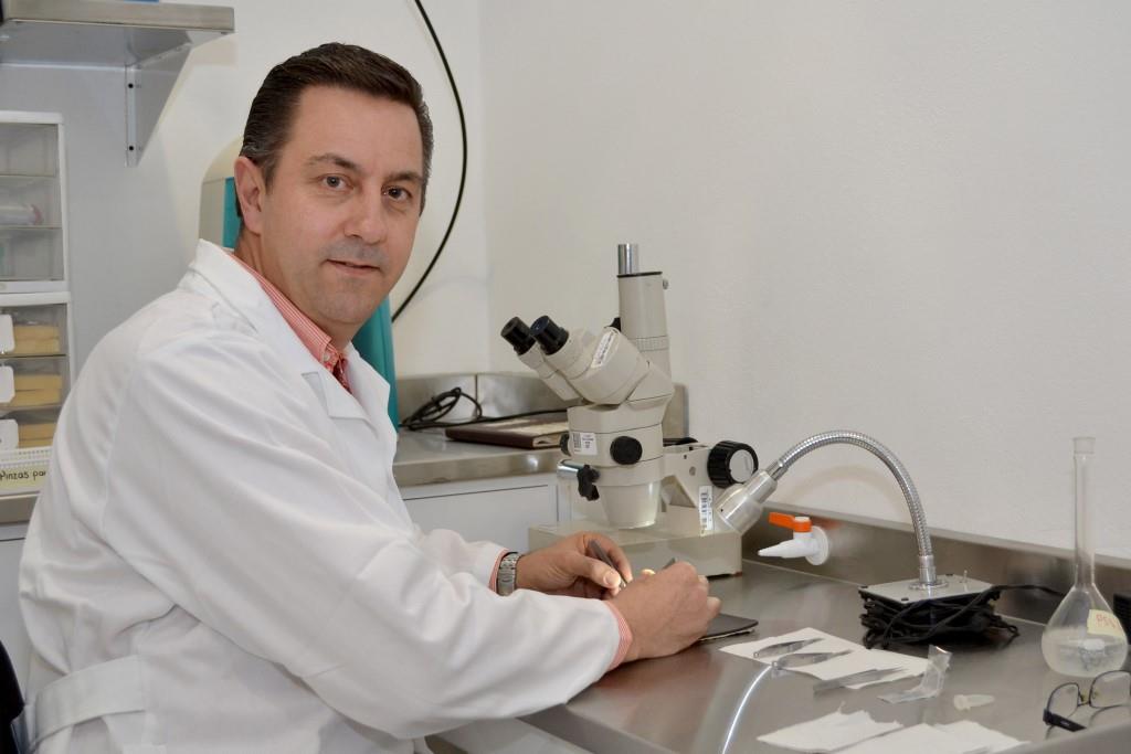 La División de Estudios Superiores de Ciencias de la Salud de la UAP cuenta con 18 cuerpos académicos con 92 científicos participando en diversas inve