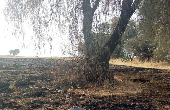 Lugar de los hechos. 