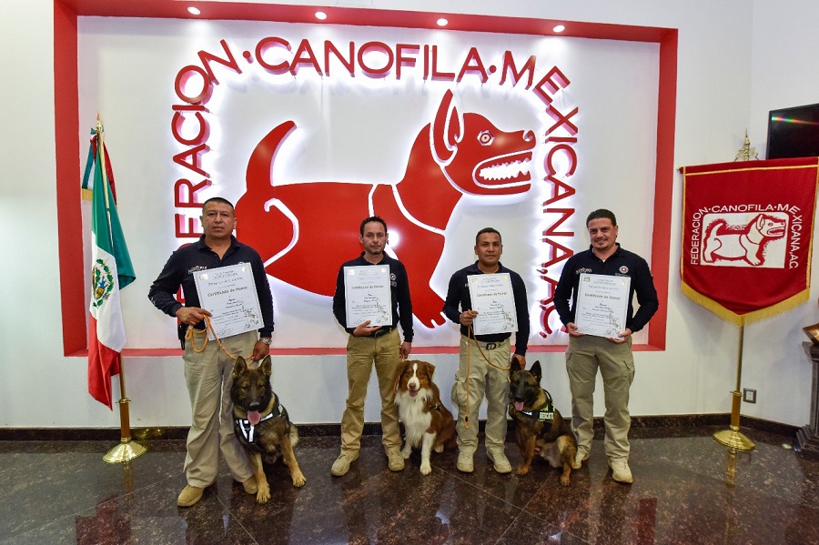Equipo de búsqueda y rescate. 