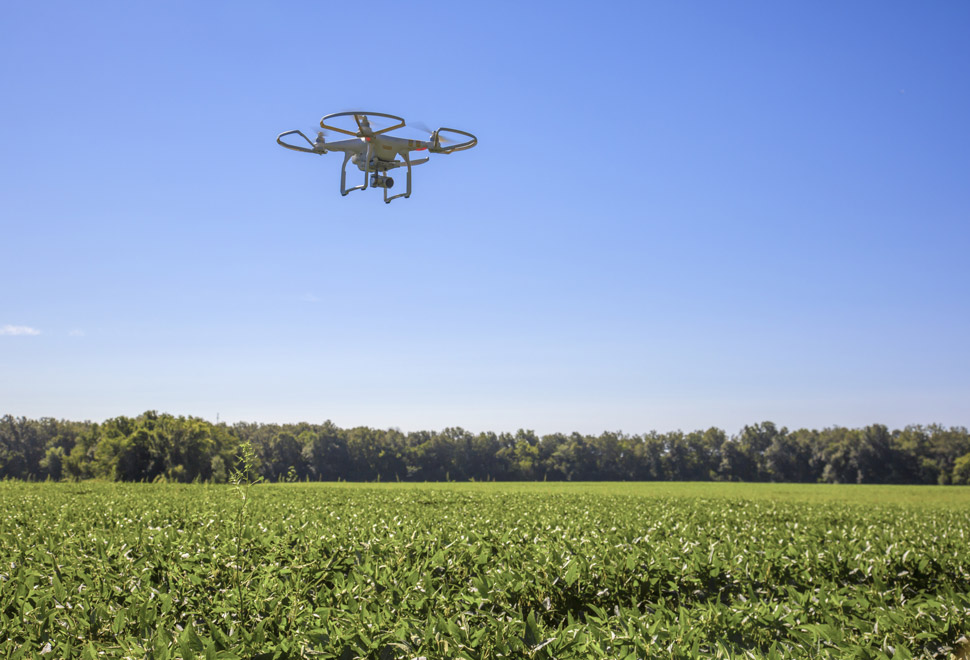 Los agricultores utilizan tecnología cada vez más avanzada como los drones para supervisar sus cosechas.