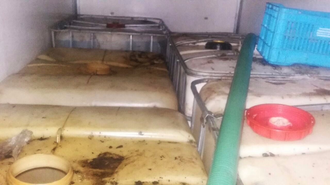 Los robos de vehículos en Puebla se atribuye a bandas dedicadas al robo de combustible.