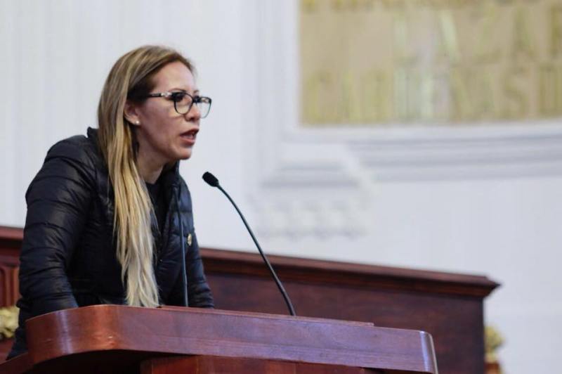 Wendy González Urrutia, diputada del PAN en la ALDF.