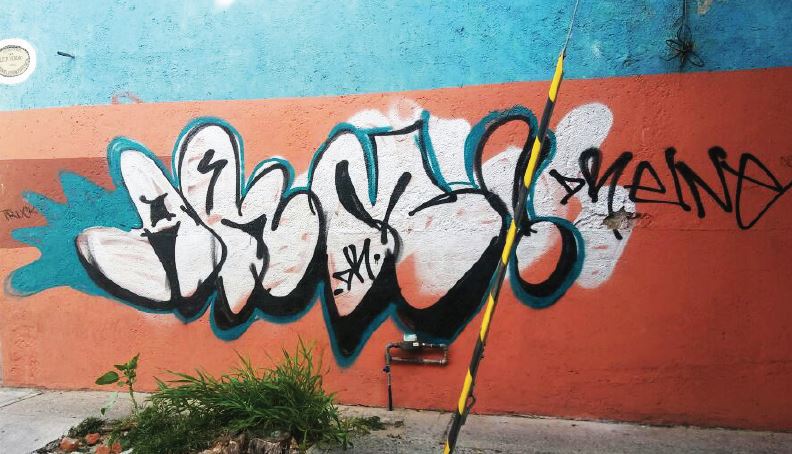 El grafitti provoca disminución de valores de predios