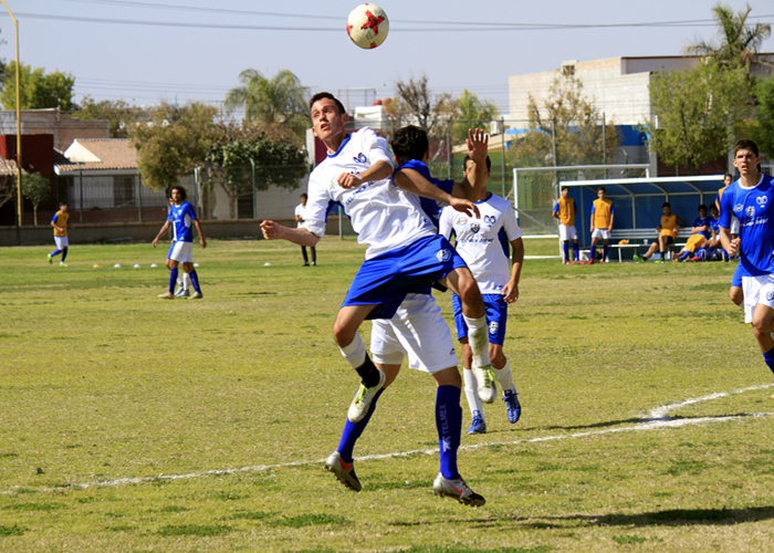 Borregos Laguna vence a Guadalajara 2-0 de la Copa Telmex Telcel.