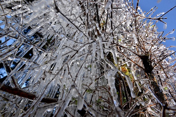 Para mañana miércoles se pronostican temperaturas entre -4 y 8 grados en todas las delegaciones de la Ciudad de México.