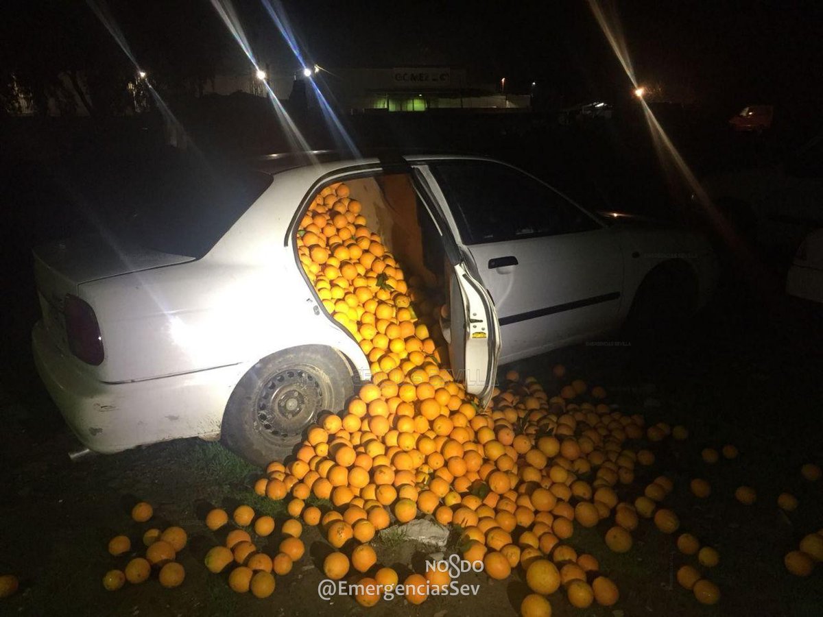 Detienen a 5 en España por el robo de 4 mil kilos de naranjas.