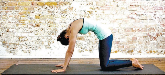 Marjaryasana o la postura del Gato