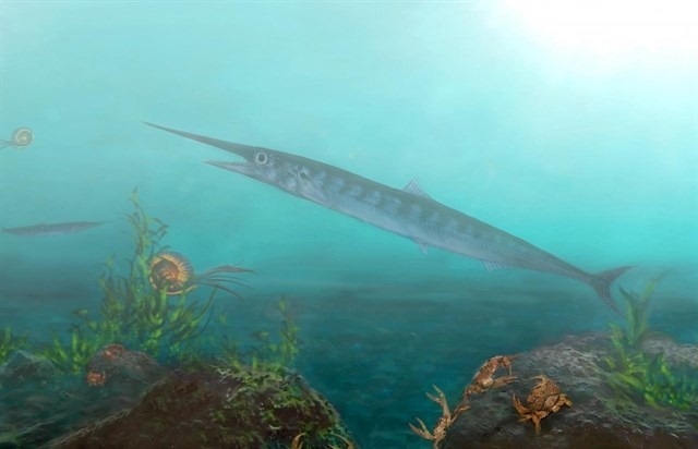 El 'Candelarhynchus padillai' tiene aproximadamente 90 millones de años.