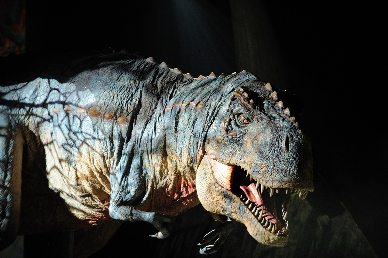 Este estudio afirma que los dinosaurios estaban condenados a la extinción 50 millones de años antes de su caída.