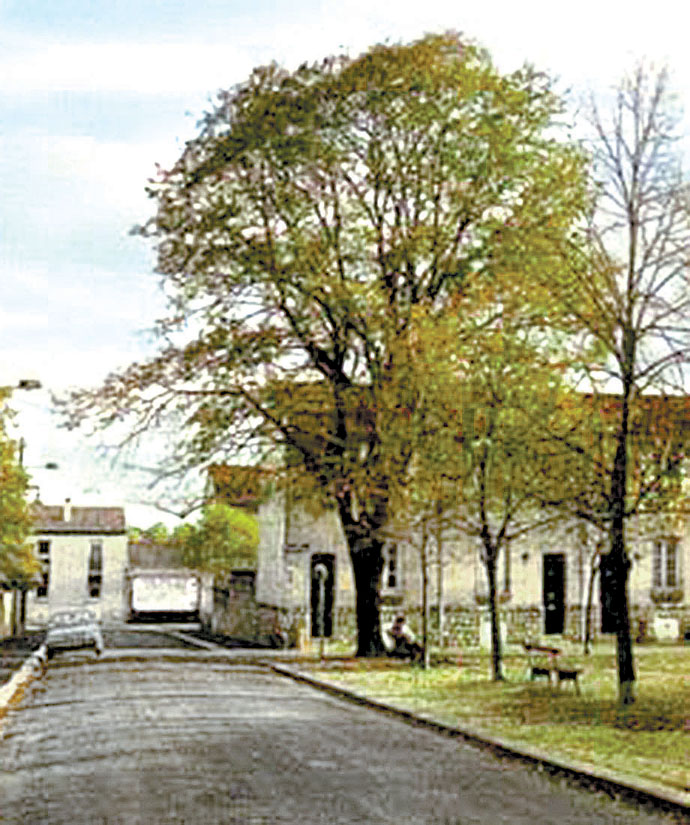 Antes los arquitectos no eran entrenados para pensar de manera crítica. 