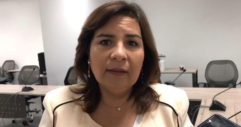 Beatriz Manrique Guevara, coordinadora del Partido Verde Ecologista de México (PVEM)