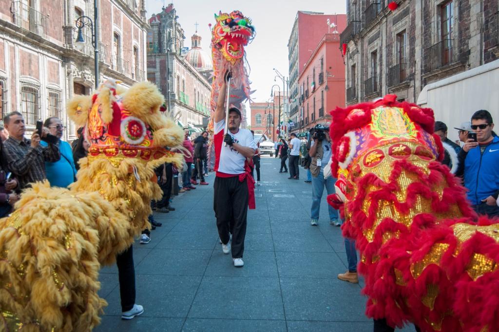 El disfraz deberá representar el Año Nuevo Chino 2018, que es el “Año del perro”.