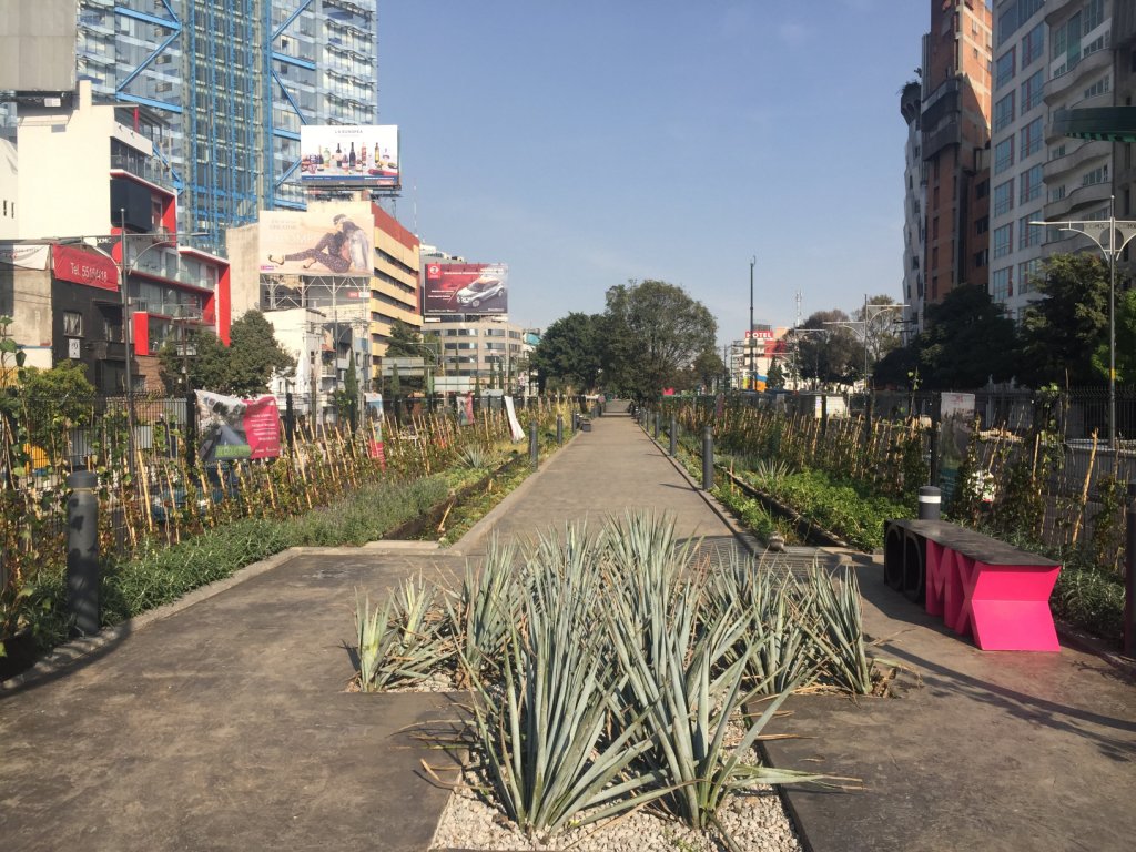 Ecoducto es el proyecto que transformará el Viaducto Río de la Piedad, una de las avenidas más importantes de Ciudad de México, en una área verde recr
