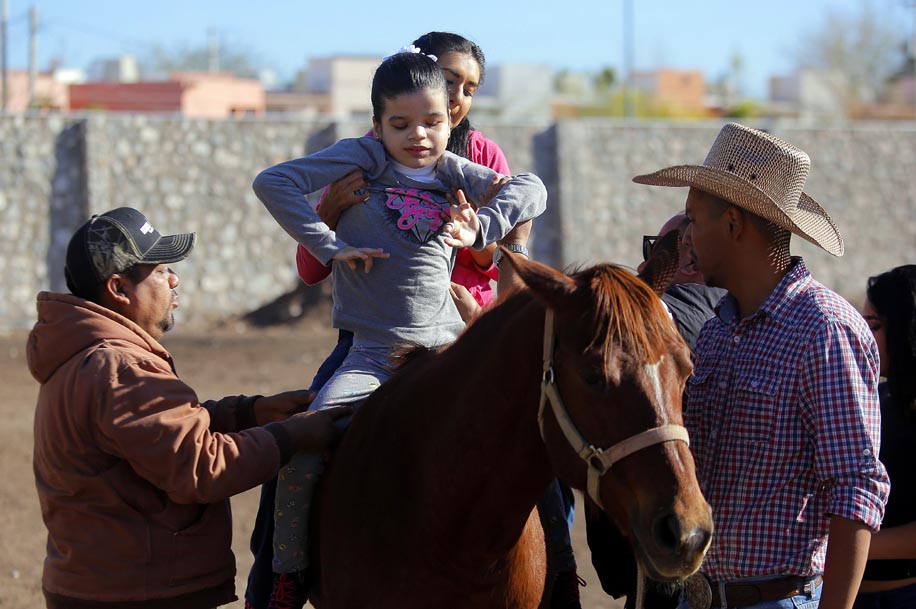 La equinoterapia es complemento de tratamientos en autismo, síndrome de down y problemas motrices.