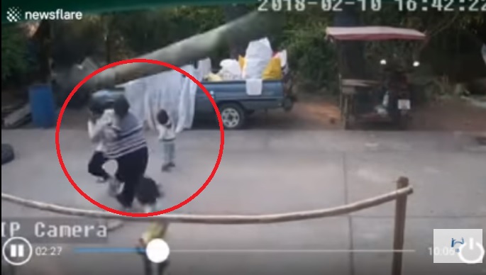 Niño se salva de morir aplastado por una palmera.