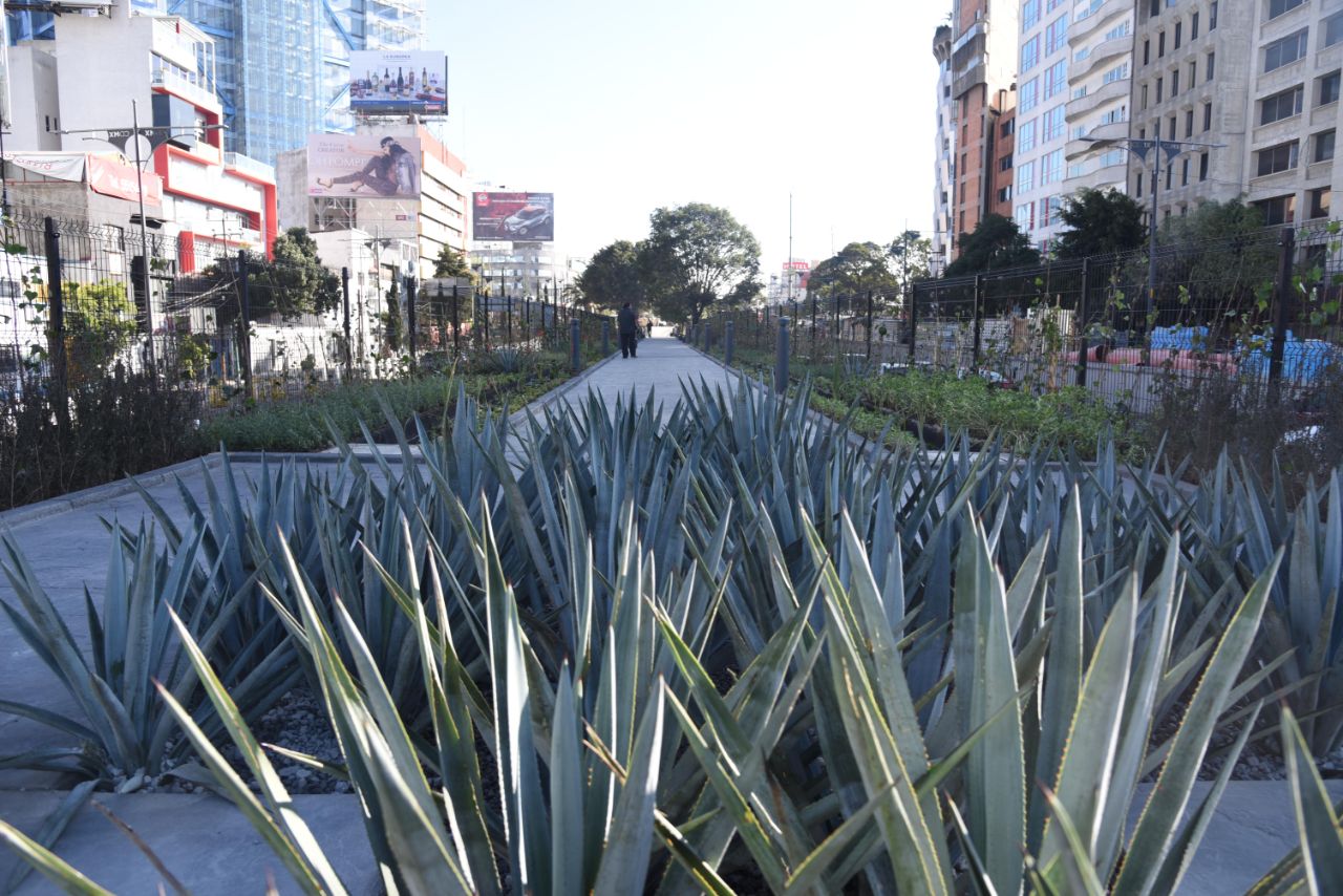 El Ecoducto Río de la Piedad consta de cuatro tramos y actualmente se encuentran en los últimos trabajos de la zona de biodigestores.
