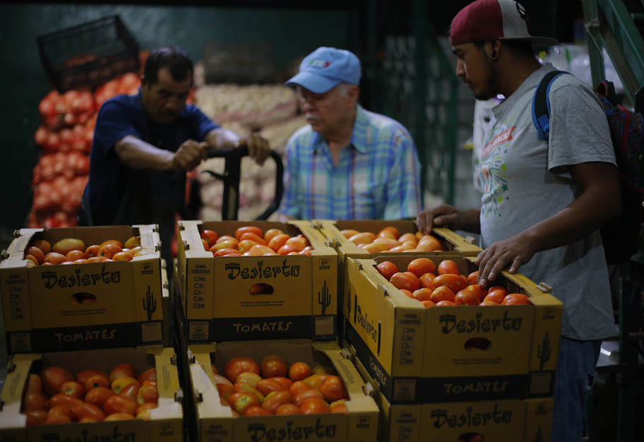 Esta representa una de las actividades agrícolas que se ha consolidado en La Laguna.