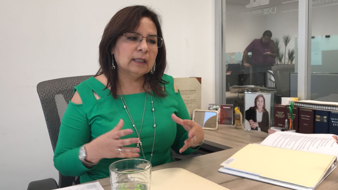 Beatriz Manrique Guevara, Coordinadora del Partido Verde Ecologista de México.
