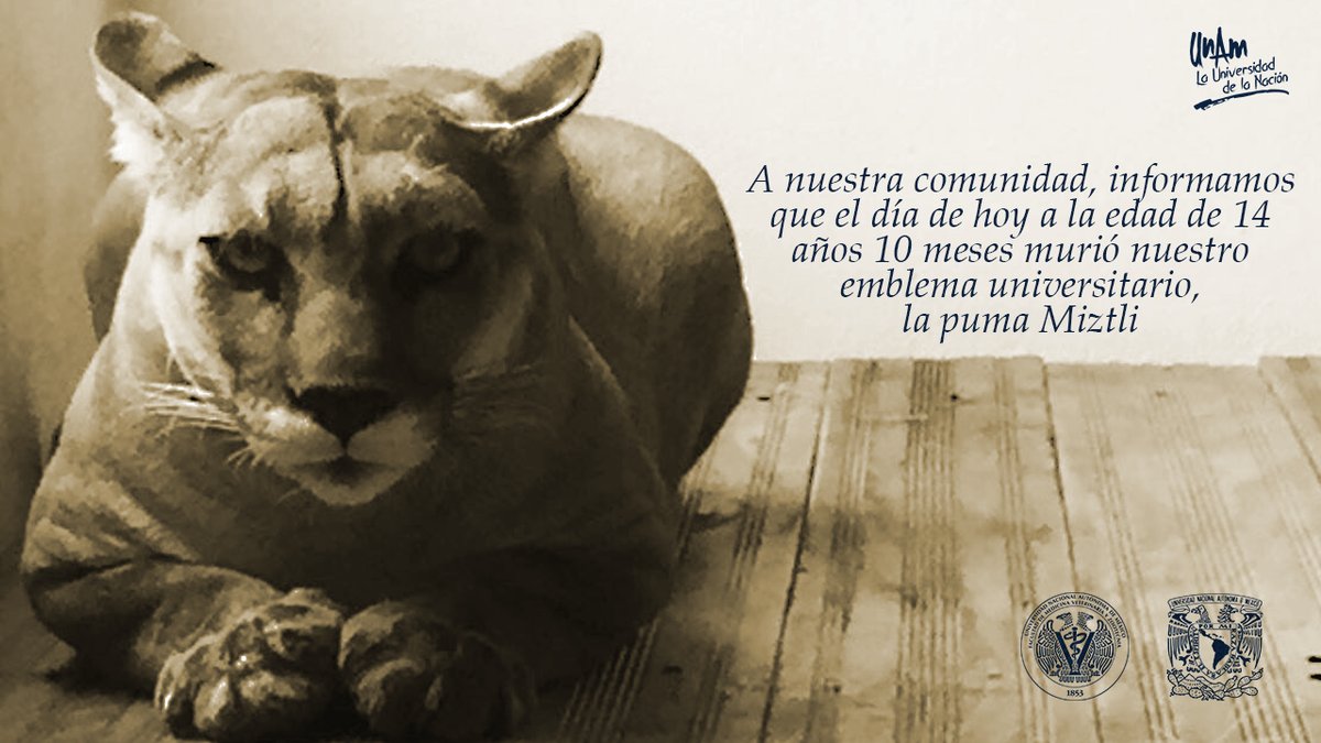 Miztli fue adquirida por la UNAM desde septiembre de 2003.