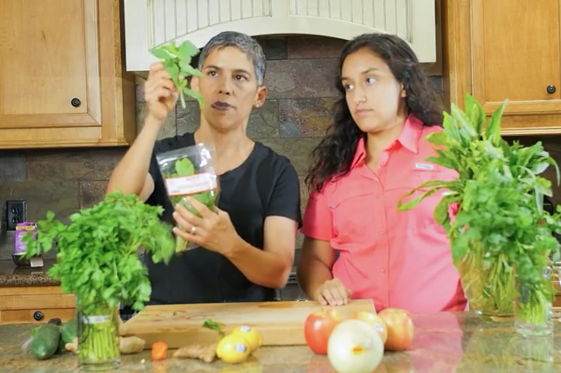 Muere de cáncer youtuber que aseguró que el veganismo curaba la enfermedad.