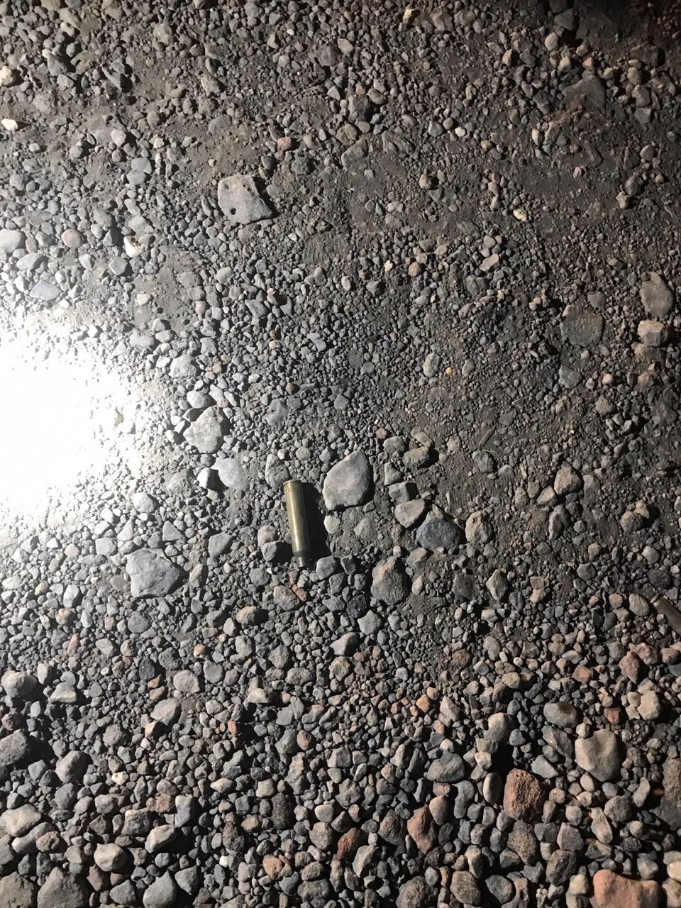 Casquillos encontrados en el predio. 